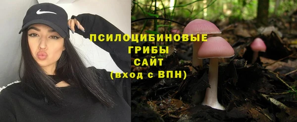 таблы Белокуриха