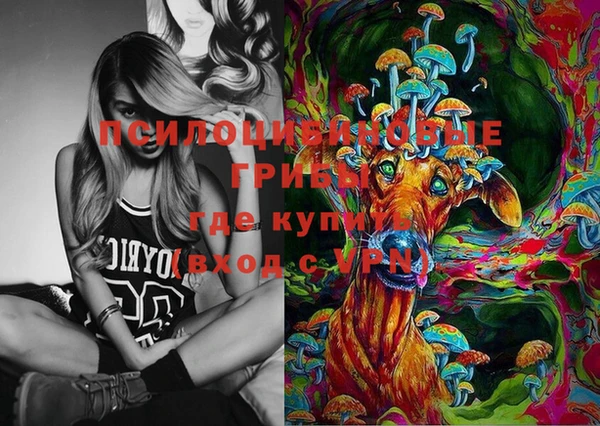 таблы Белокуриха