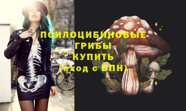 первитин Белоозёрский