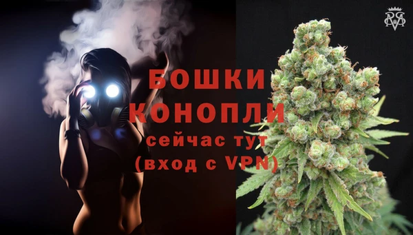 таблы Белокуриха