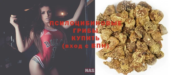 первитин Белоозёрский