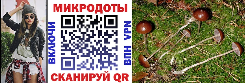 сколько стоит  сайты даркнета как зайти  Галлюциногенные грибы MAGIC MUSHROOMS  Крымск 